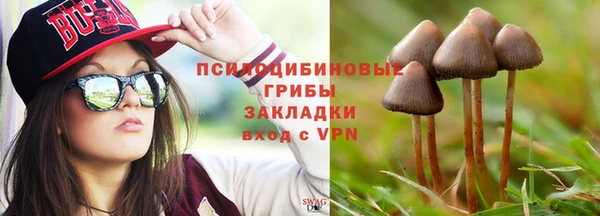 прущие грибы Липки