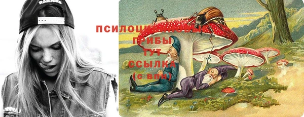 прущие грибы Липки