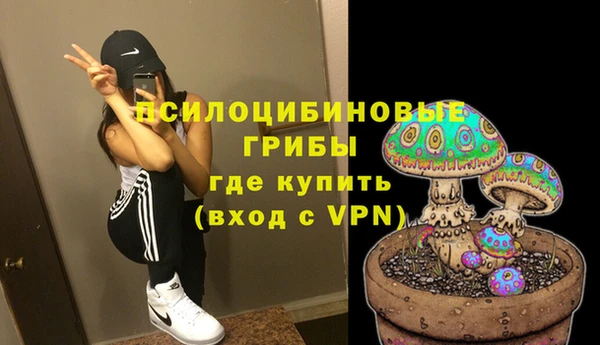 прущие грибы Липки