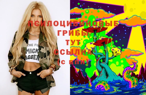прущие грибы Липки