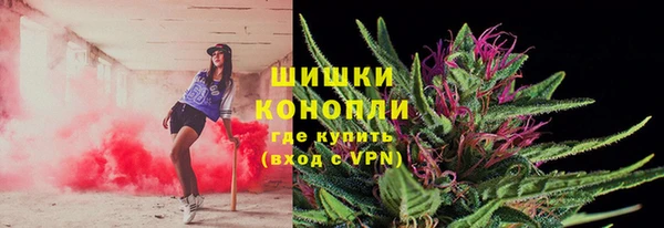 прущие грибы Липки