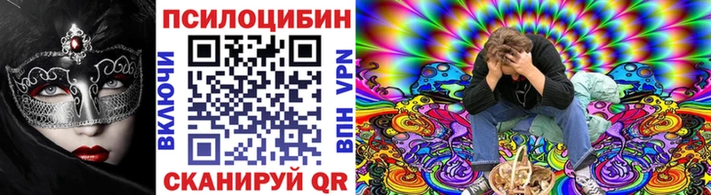 Купить где  Светогорск  Галлюциногенные грибы Magic Shrooms 