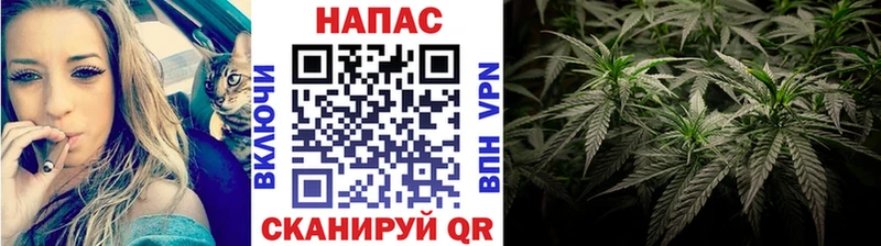 МАРИХУАНА планчик Светогорск